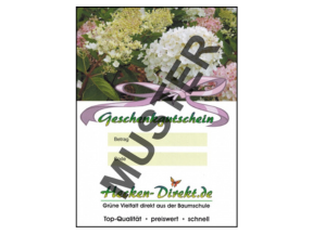 Geschenkgutscheine
