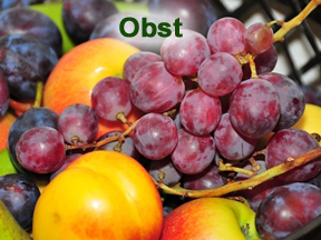 Obst