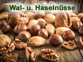 Wal- und Haselnüsse