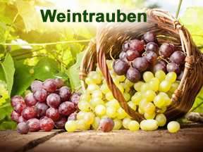 Weintrauben