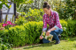Preview: NEUDORFF ® Azet Buxus- & IlexDünger