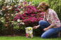 Preview: NEUDORFF ® Azet RhododendronDünger