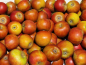 Preview: Apfel Malus Holsteiner Cox