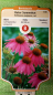 Preview: Roter Sonnenhut echinacea purpurea