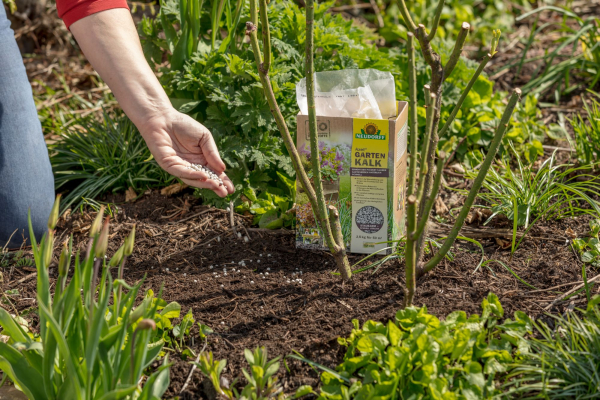 NEUDORFF ® Azet GartenKalk