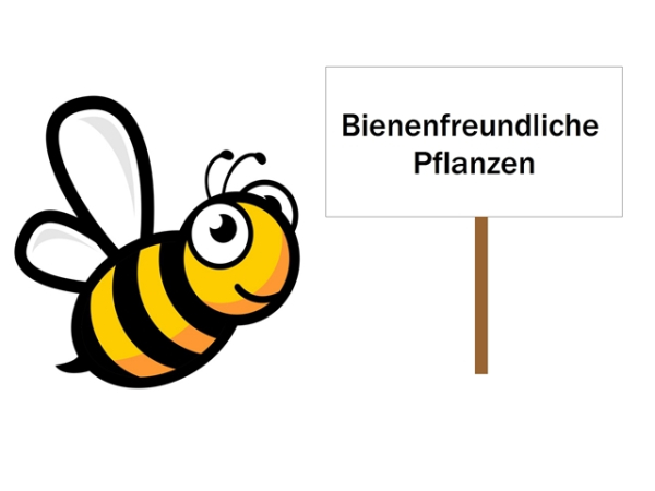 bienenfreundlich Clematis Kletterpflanze